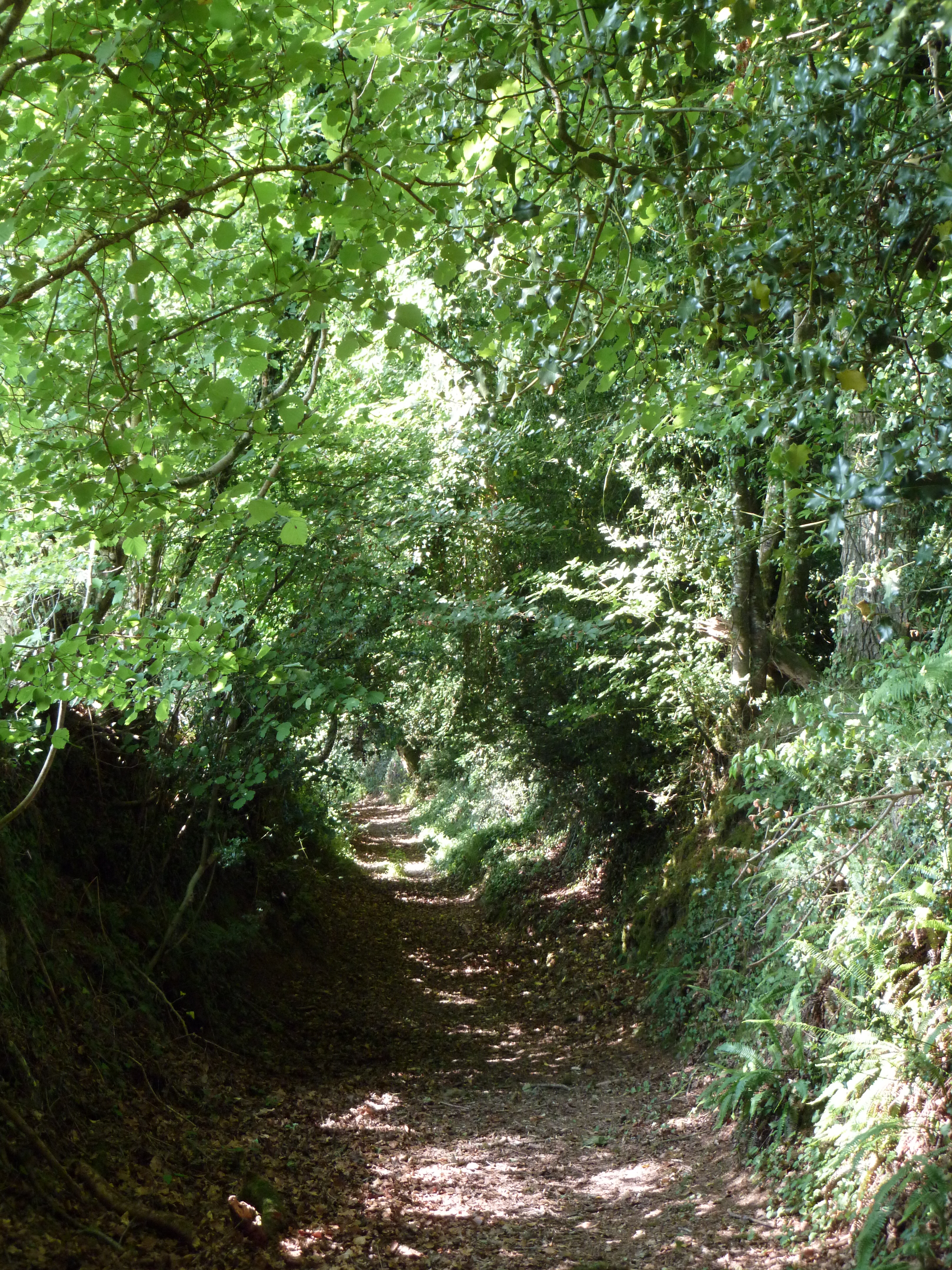 Circuit St Meen-St Tremeur - Le Saint - Pays roi Morvan - Morbihan bretagne sud - CP OTPRM (26)