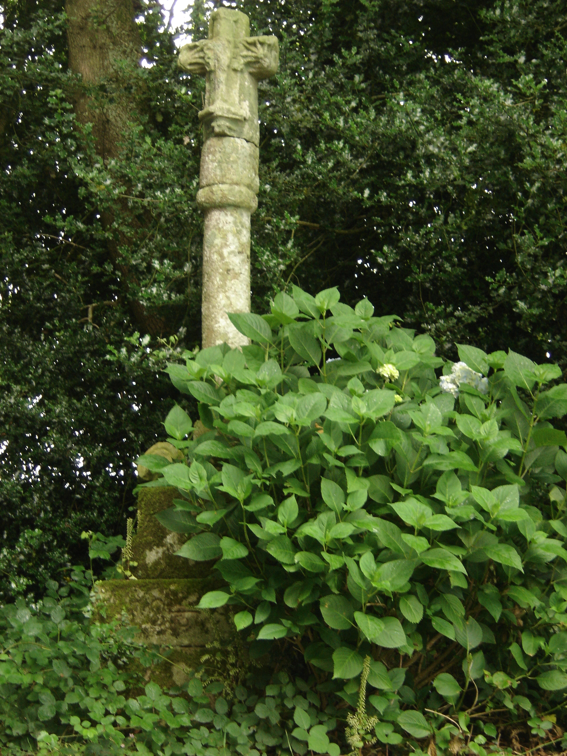 Circuit St Meen-St Tremeur - Le Saint - Pays roi Morvan - Morbihan bretagne sud - CP OTPRM (31)