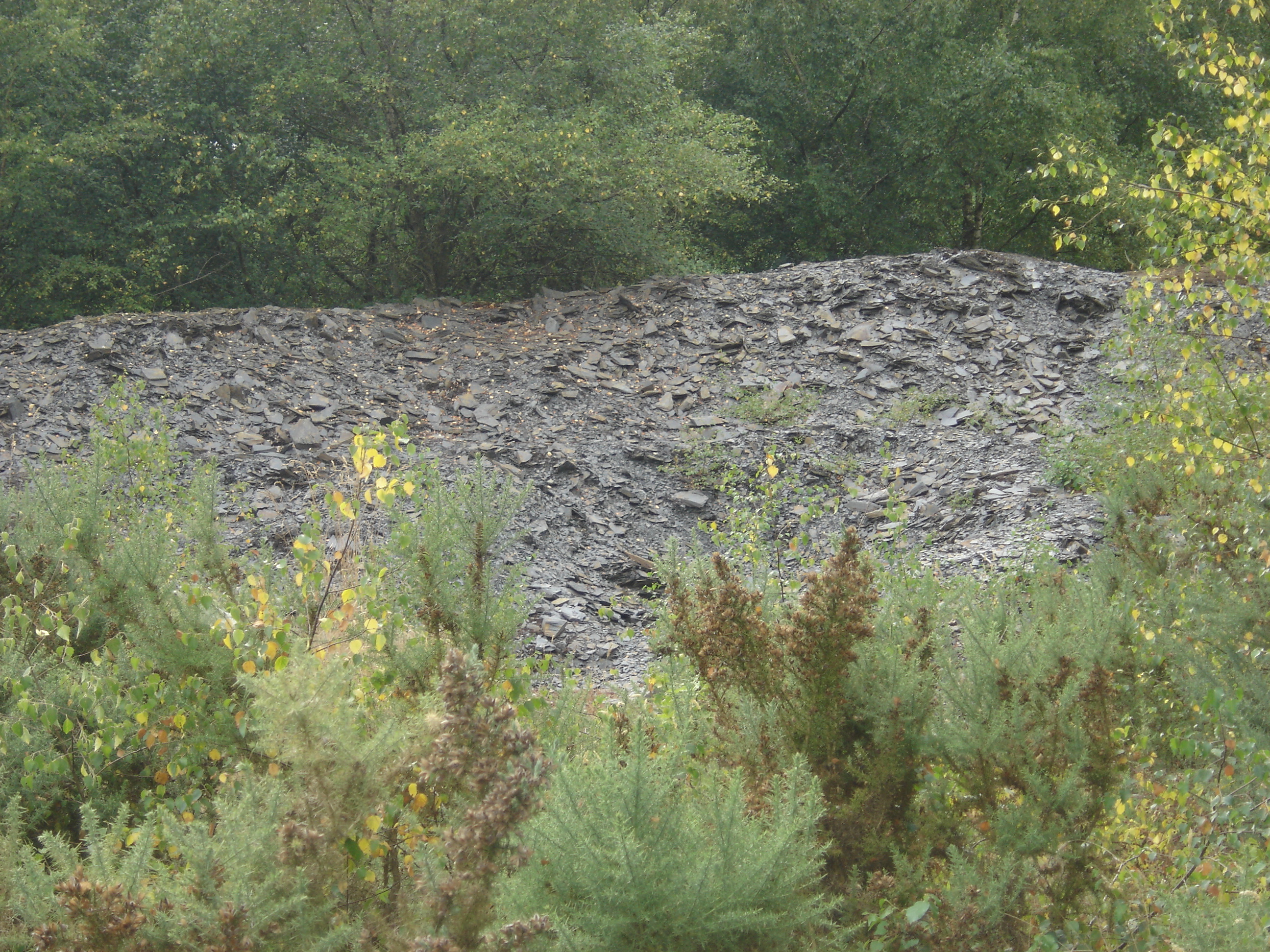 Circuit des carrières - Gourin - Pays roi Morvan - Morbihan bretagne sud - CP OTPRM (8)