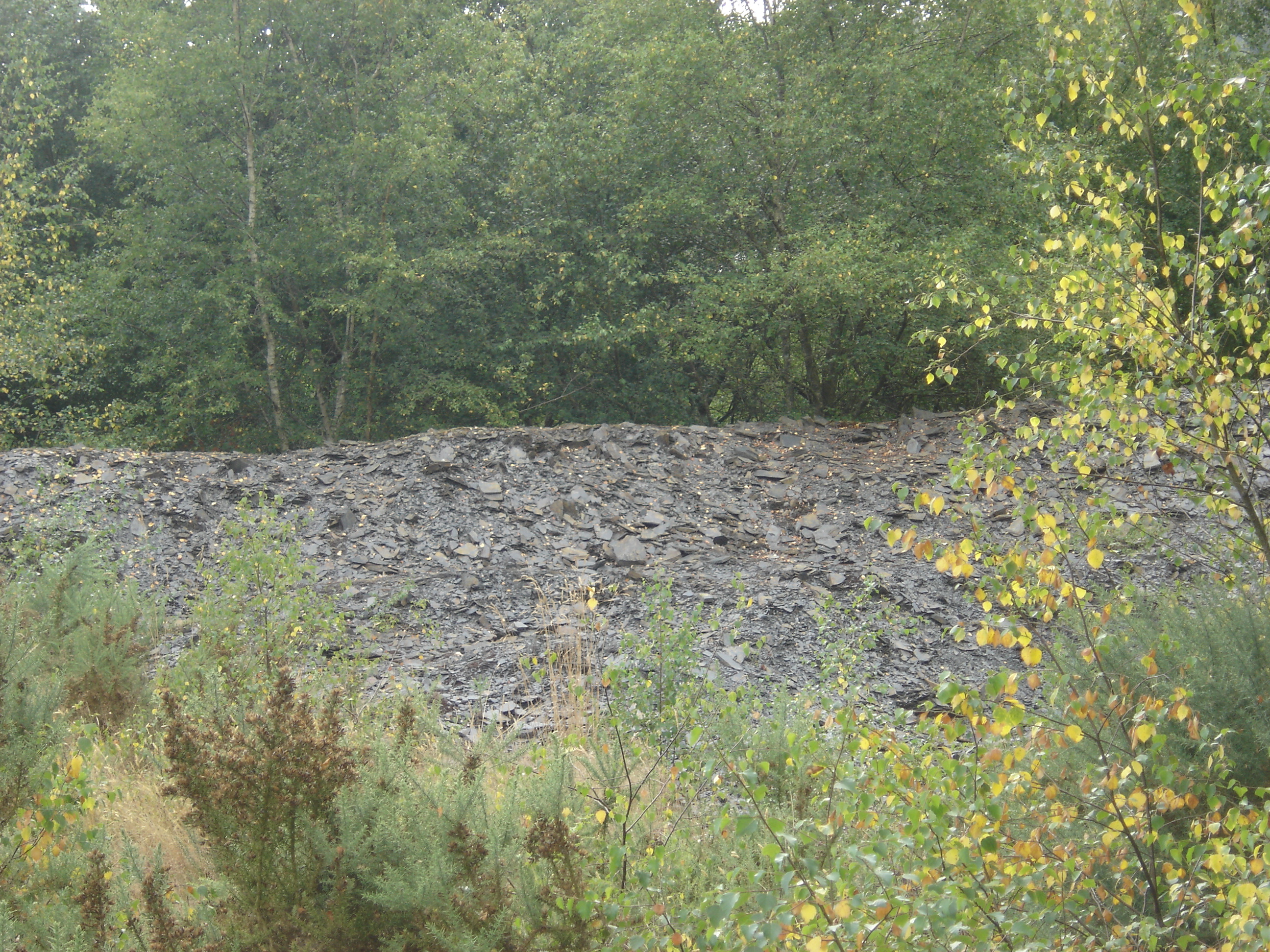 Circuit des carrières - Gourin - Pays roi Morvan - Morbihan bretagne sud - CP OTPRM (9)