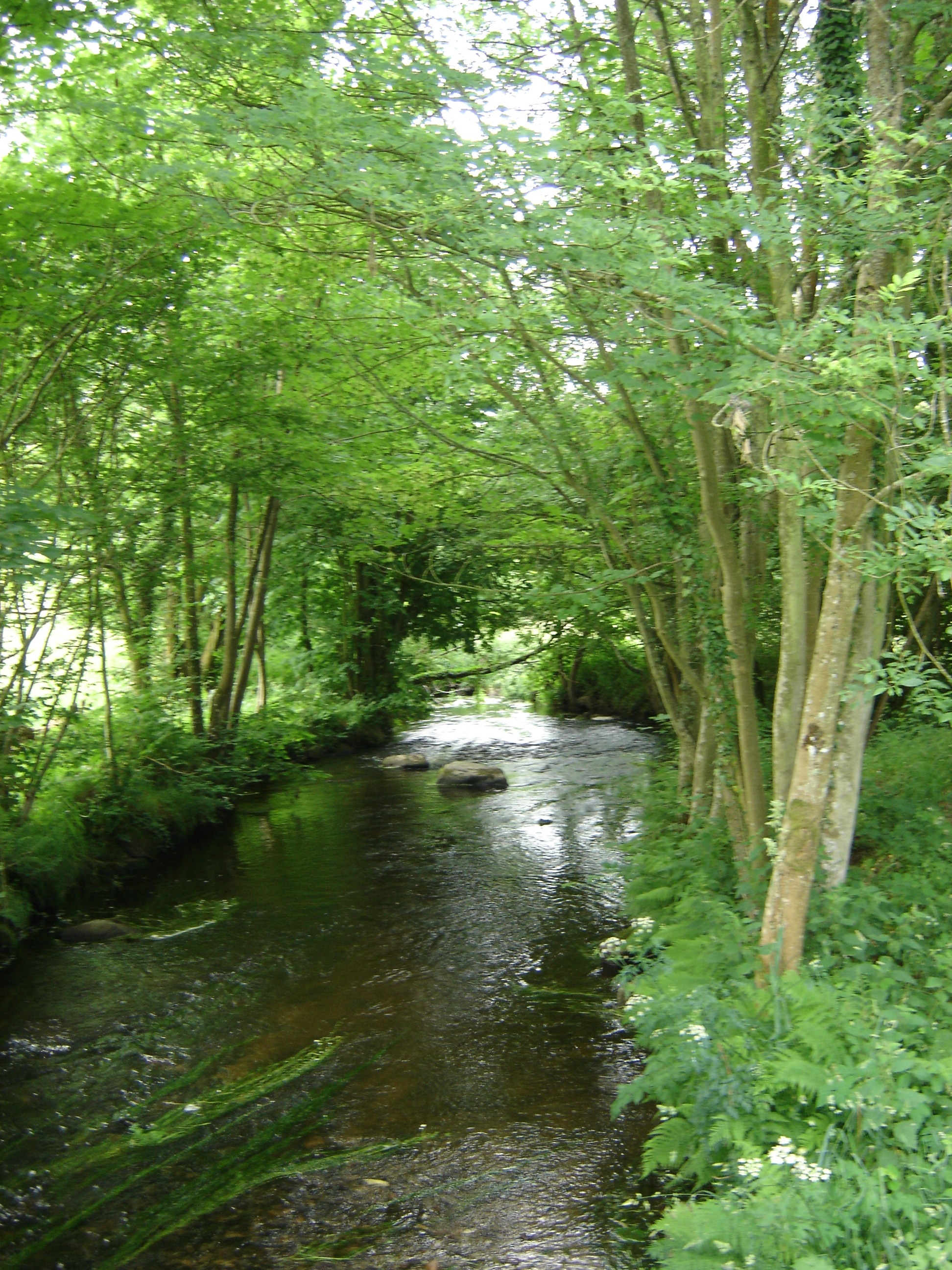 Circuit du meunier - Langoëlan - Pays roi Morvan - Morbihan bretagne sud - CP OTPRM (3)