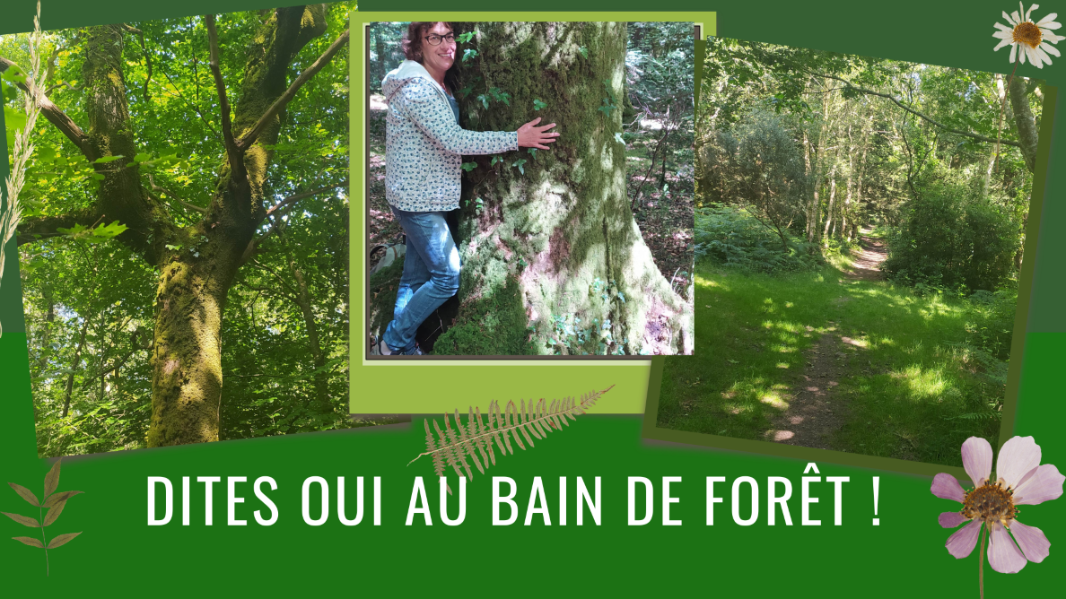 Couverture-Facebook-Bain-de-Foret-printemps-7