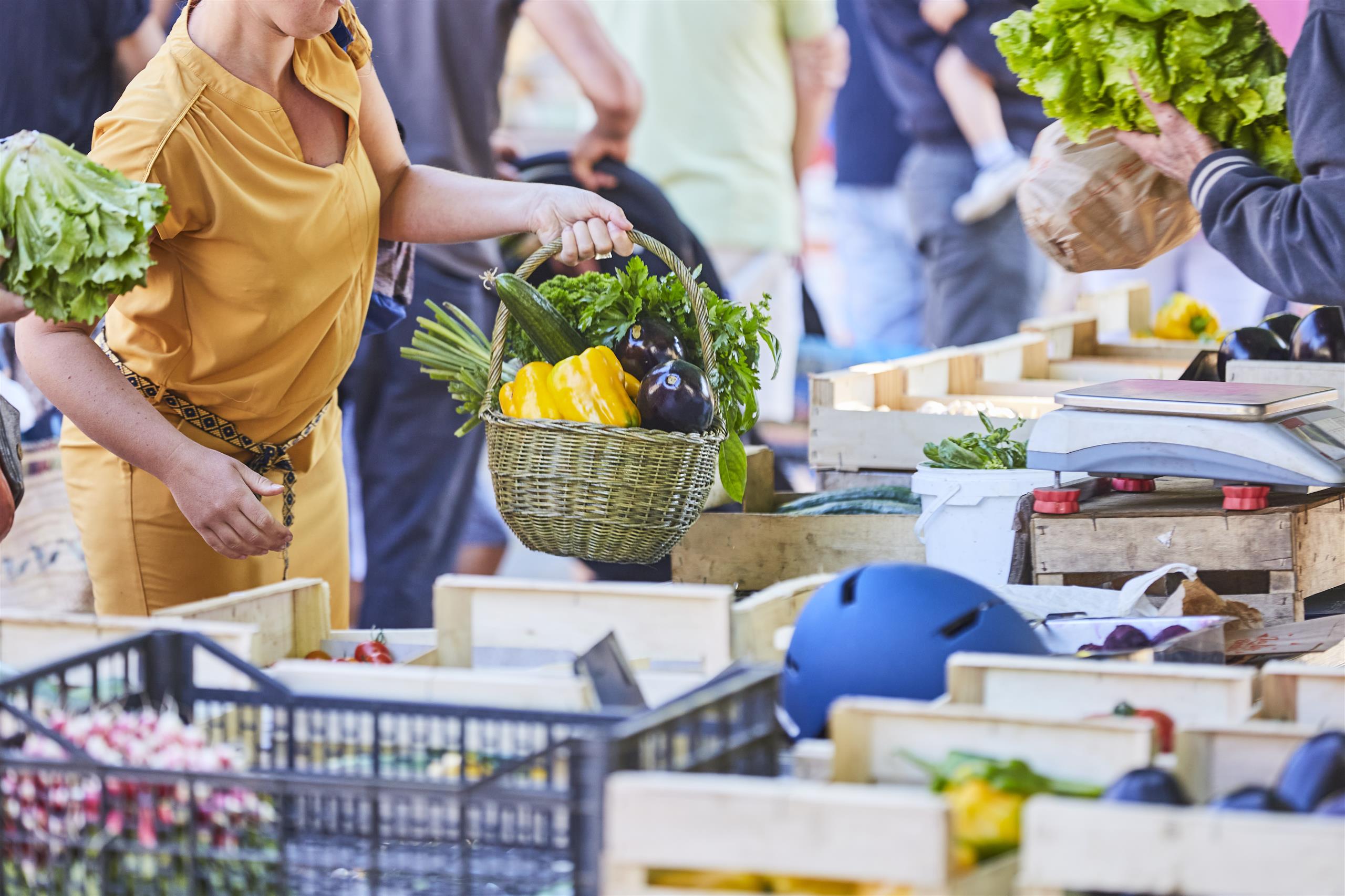Crozon market