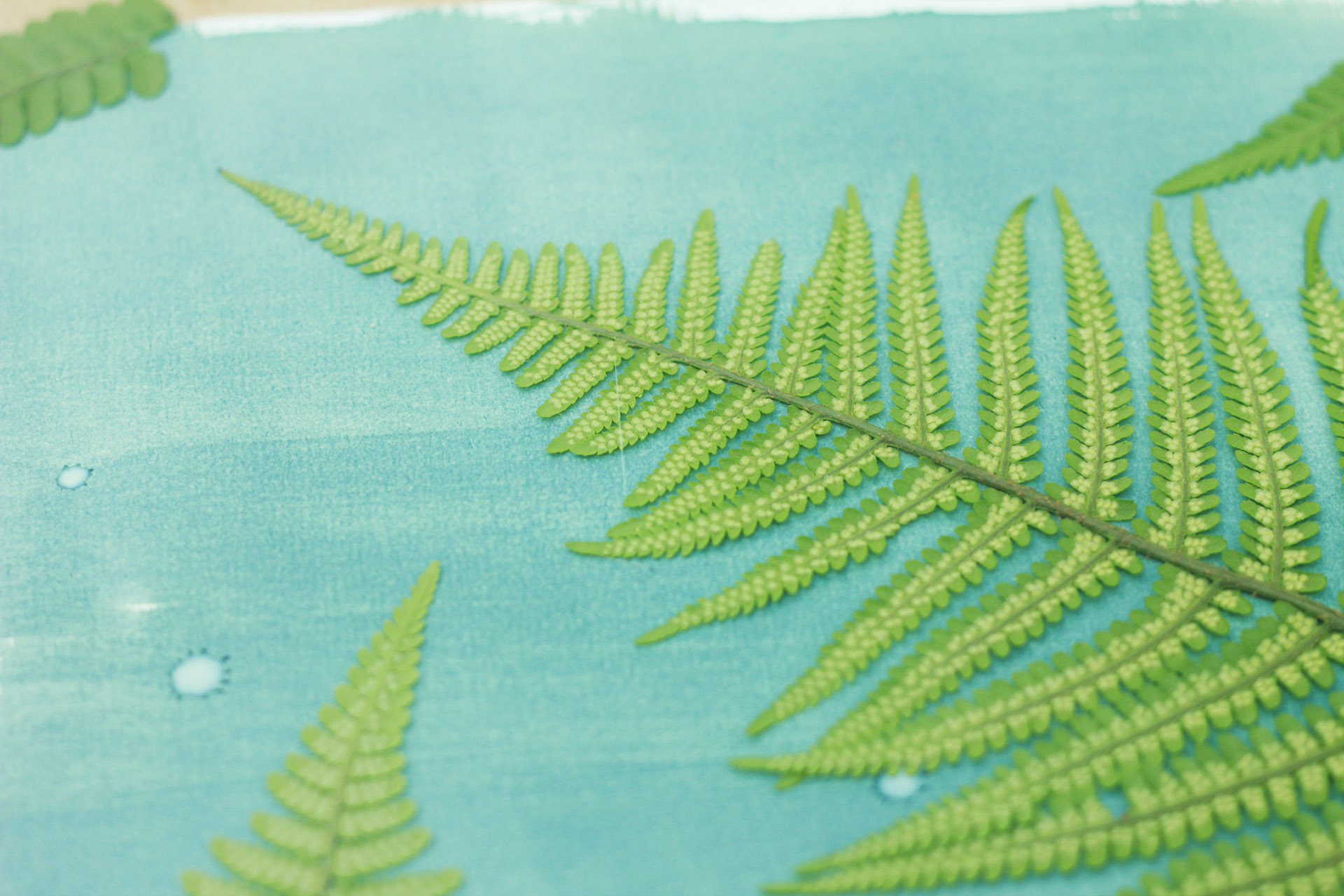 Cyanotype (2)