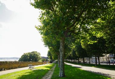 Cours Dajot