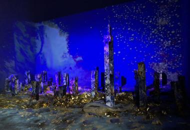 EXPO EAUX TROUBLES - PASSERELLE