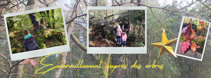 En famille, émerveillement auprès des arbres