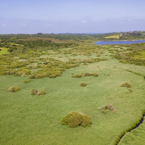 Etang de kerloc'h