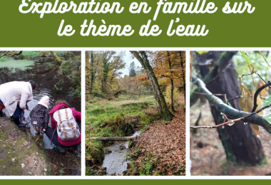 Exploration en famille sur le thème de l'eau