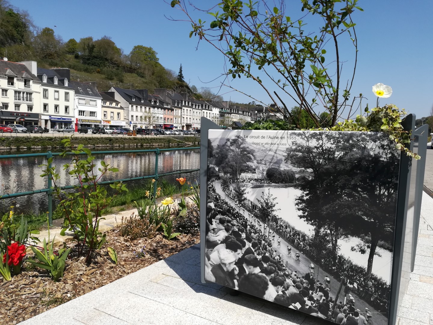 Expo - Jardinière (toute l'année à Châteaulin) (Large)