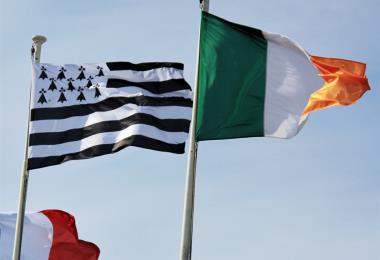 FIL_2014_-_drapeau_de_la_Bretagne_et_drapeau_de_l'Irlande_-_0127