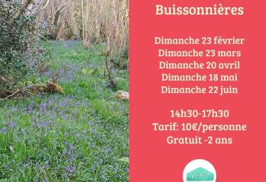 Familles buissonnières