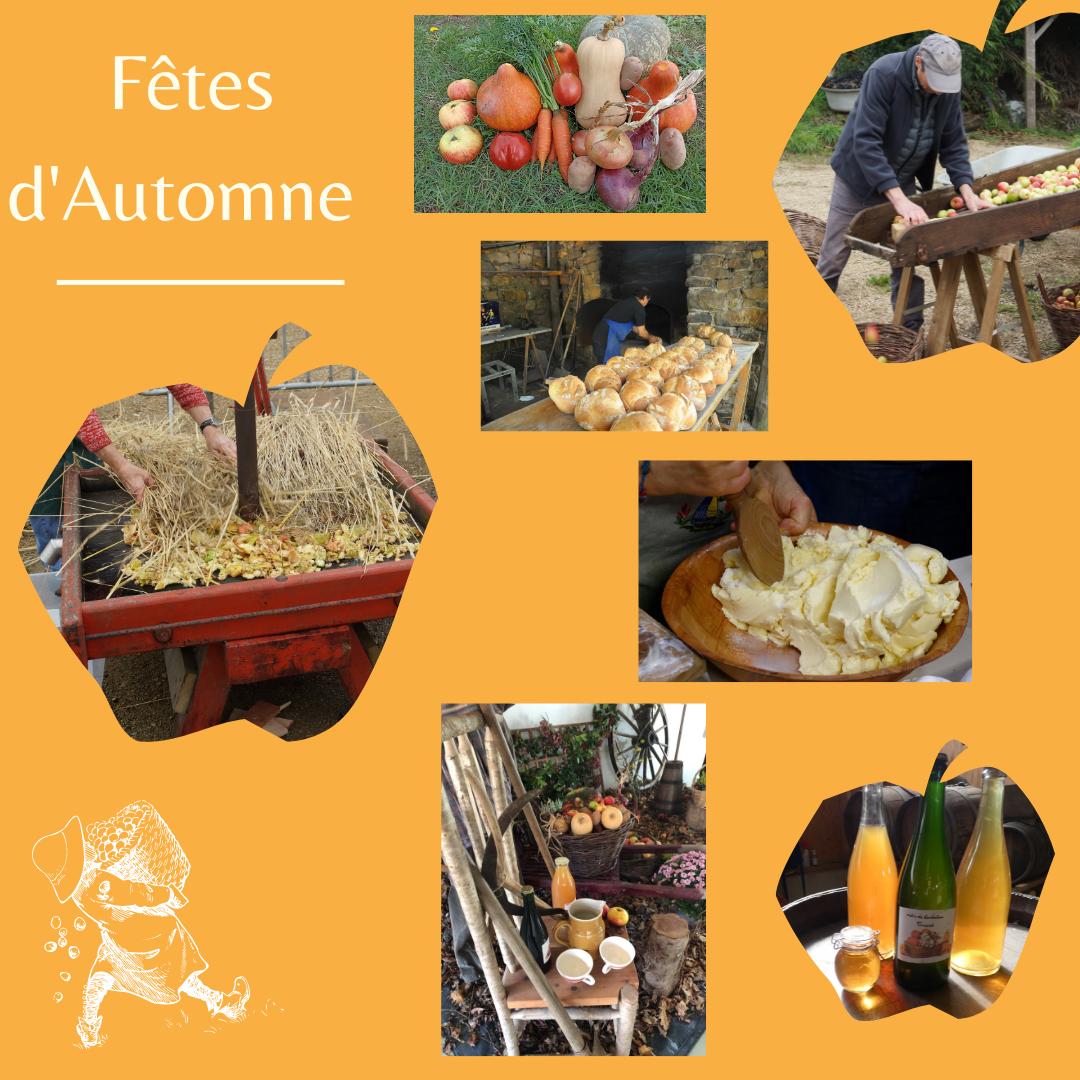 Animations du jour - 52