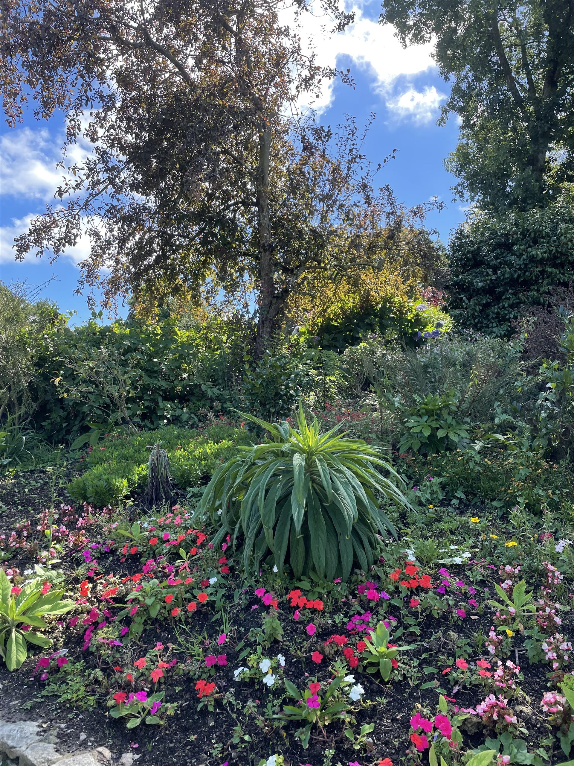 Jardin du Moulin neuf