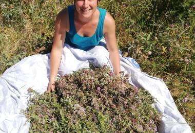 Florinum Florinum (1)