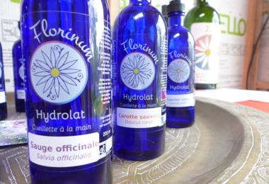 Florinum Florinum 2024 (1)