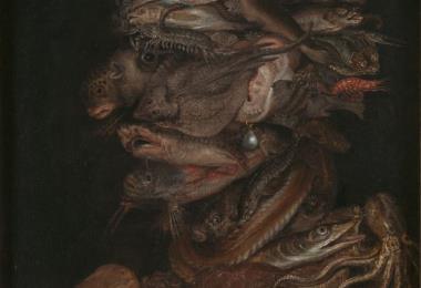 Giuseppe Arcimboldo (suiveur de), Allégorie de l'eau, Musées royaux des Beaux-Arts de Belgique (Bruxelles), photo J. Geleyns