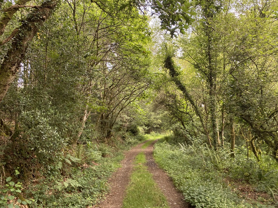 Hauts_Dinéault_VTT_LF_circuit