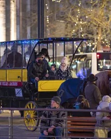 Hippomobus