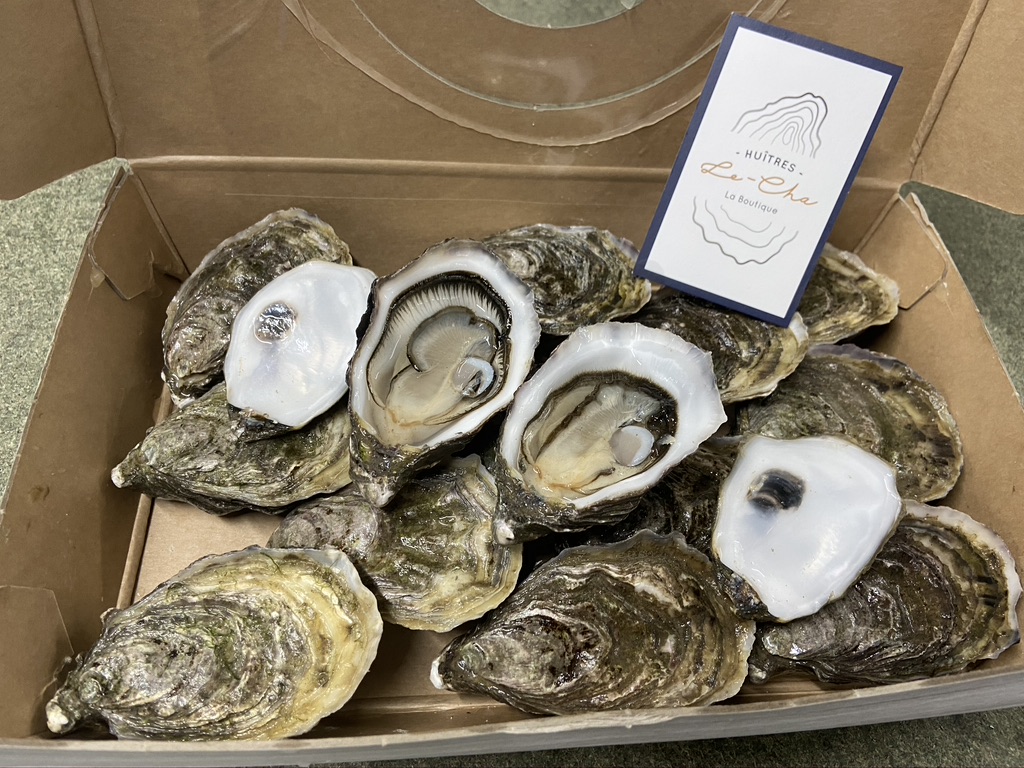 Le-Cha oysters
