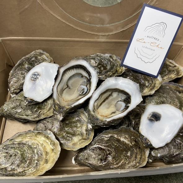 Le-Cha oysters