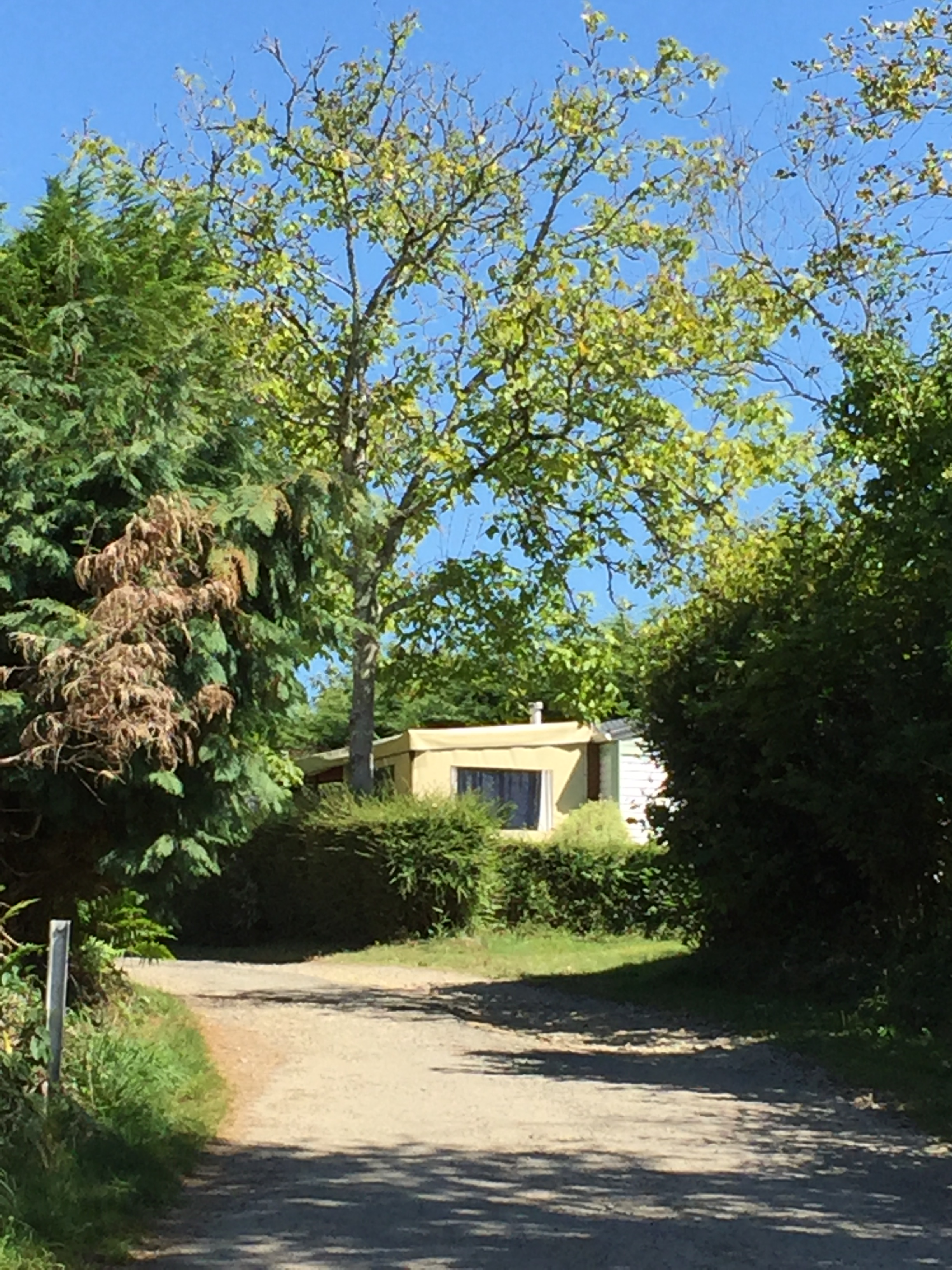La Forêt-Fouesnant photo 4