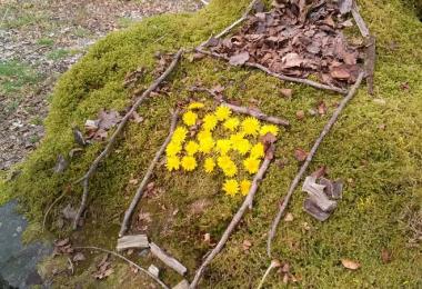 Land'art