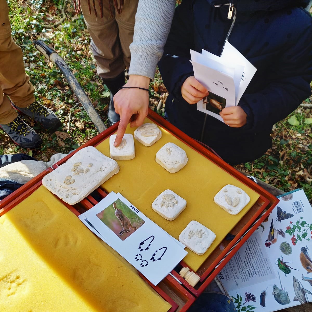 les empreintes en foret