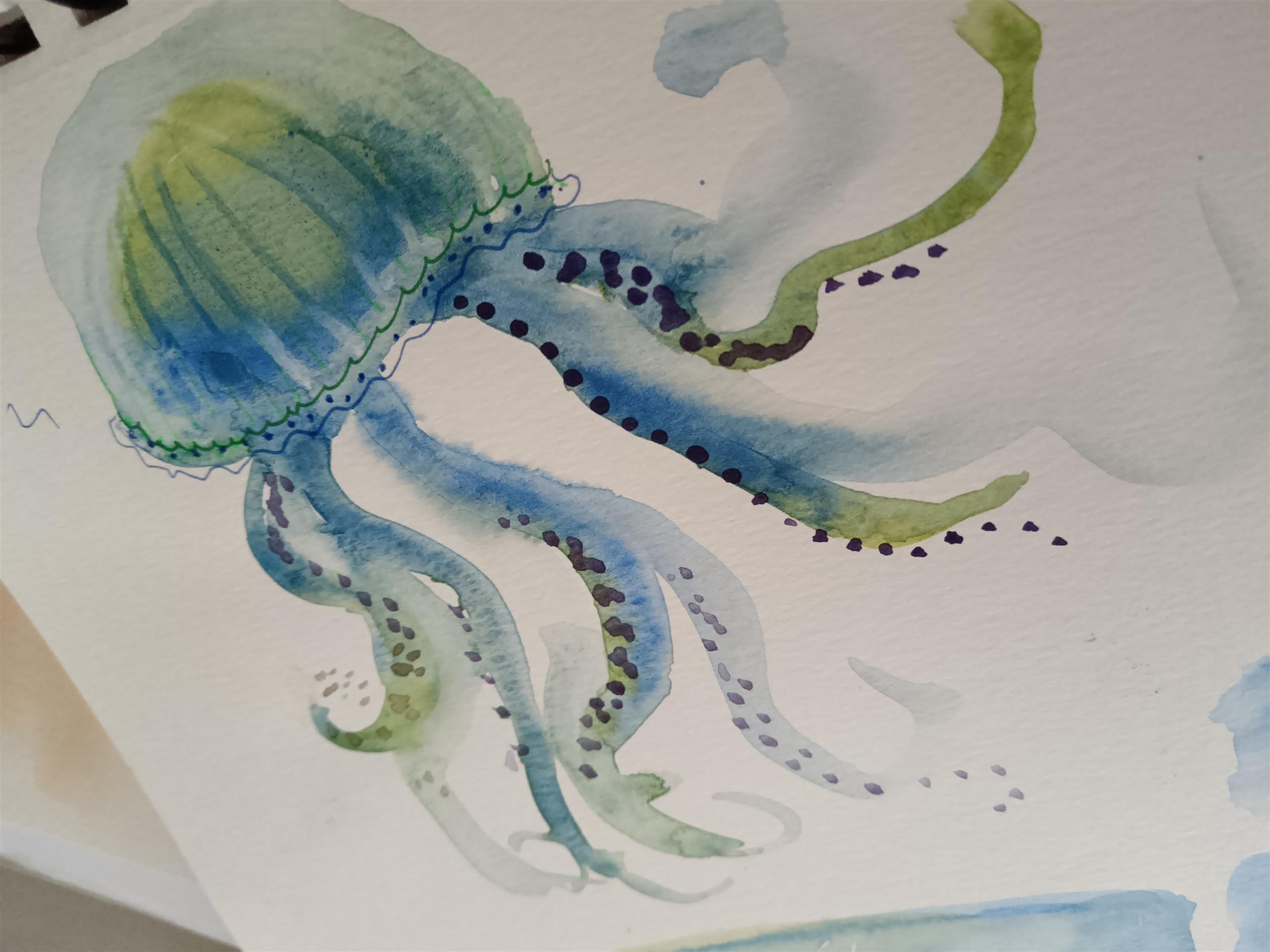 Méduse aquarelle