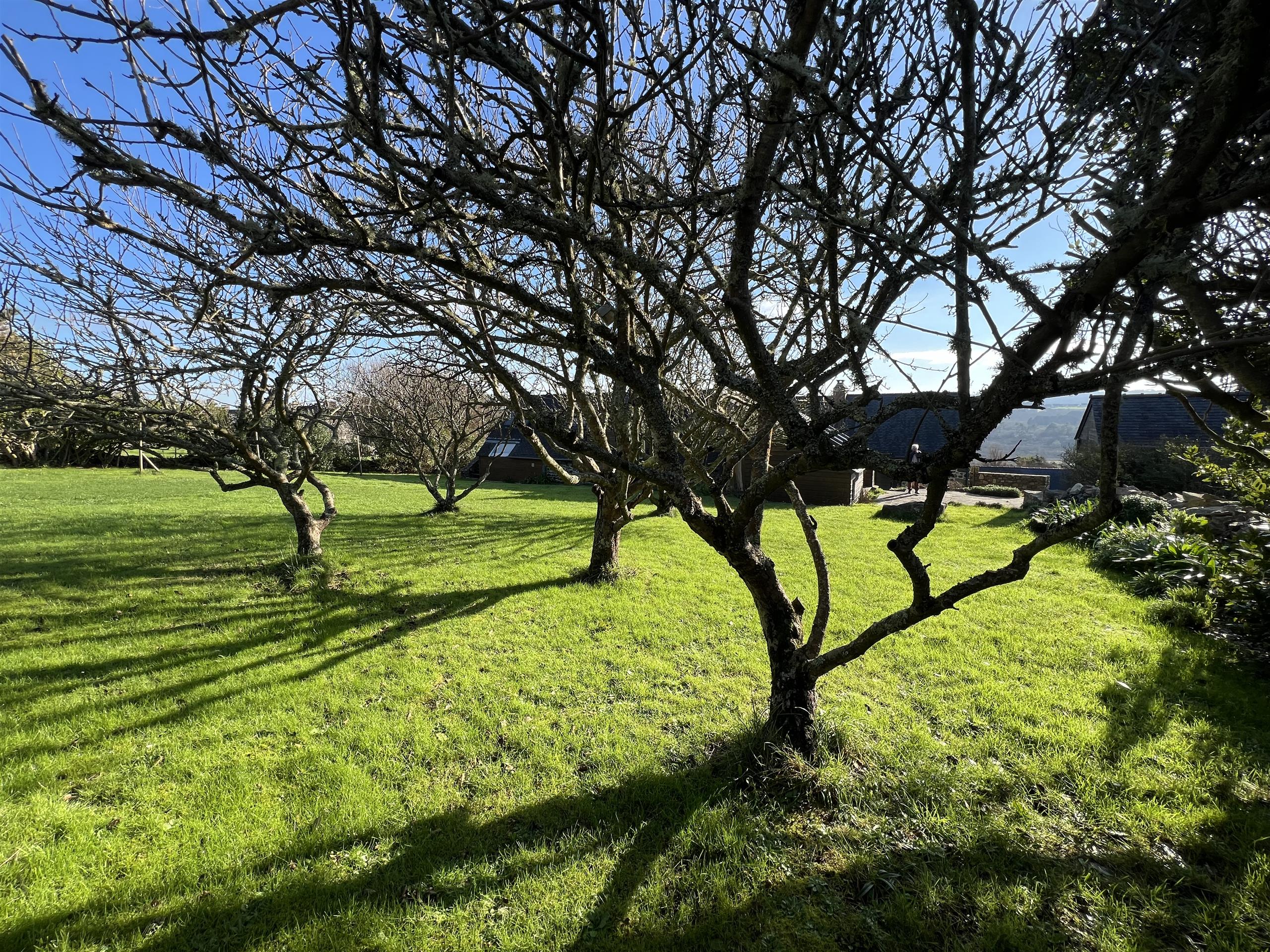 Jardin