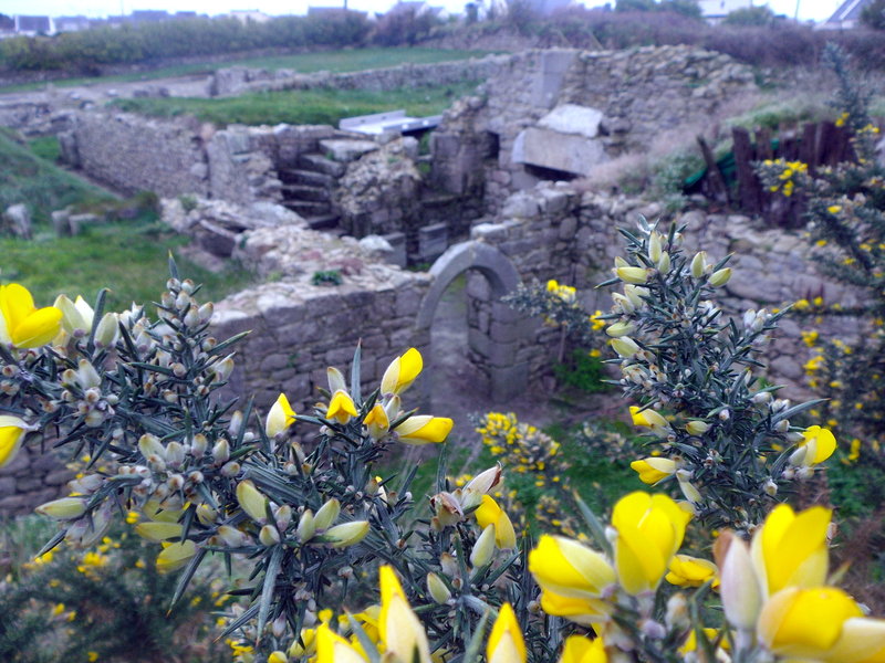 Site archéologique d'Iliz-Koz