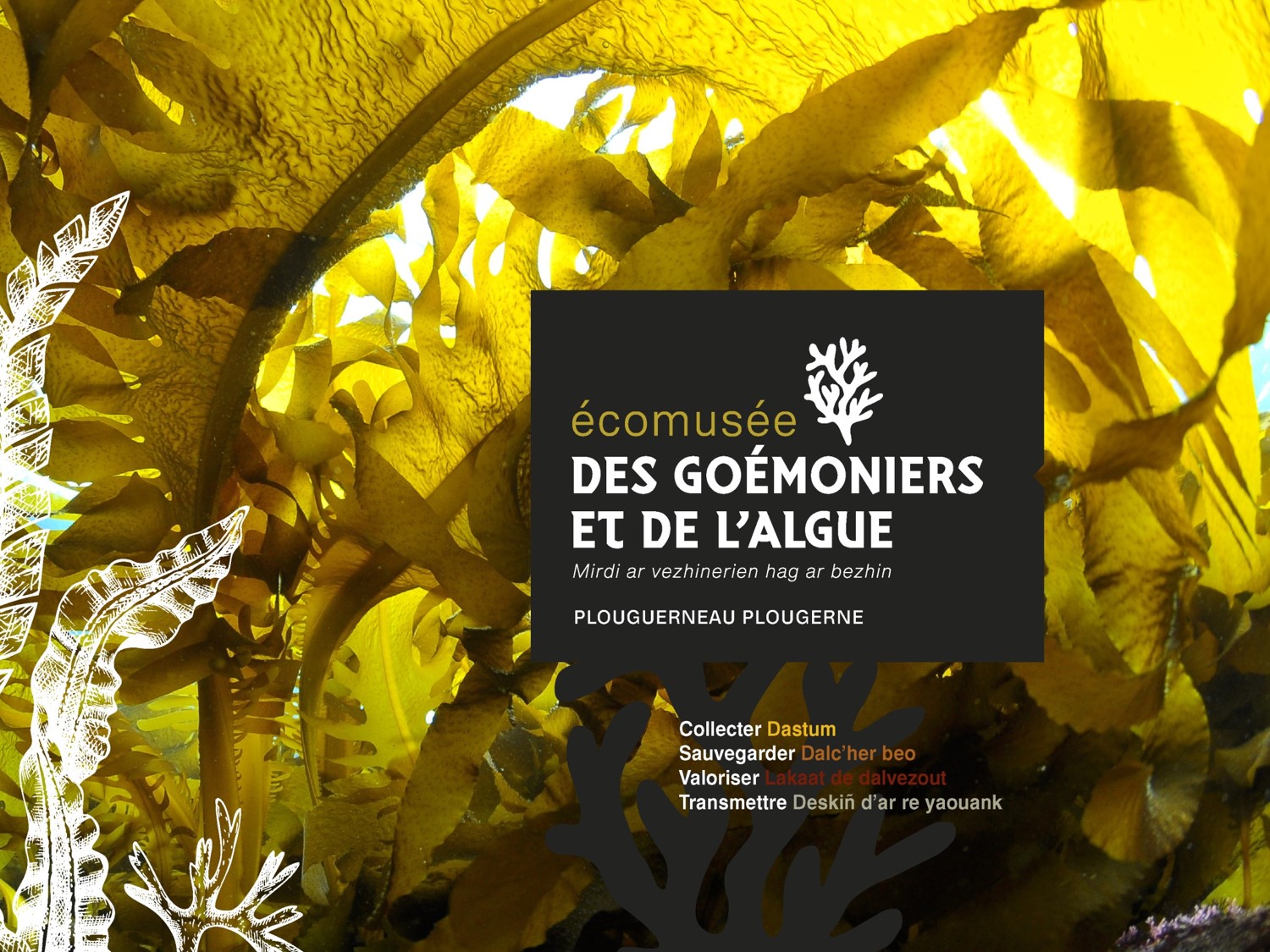 Ecomusee des goémoniers