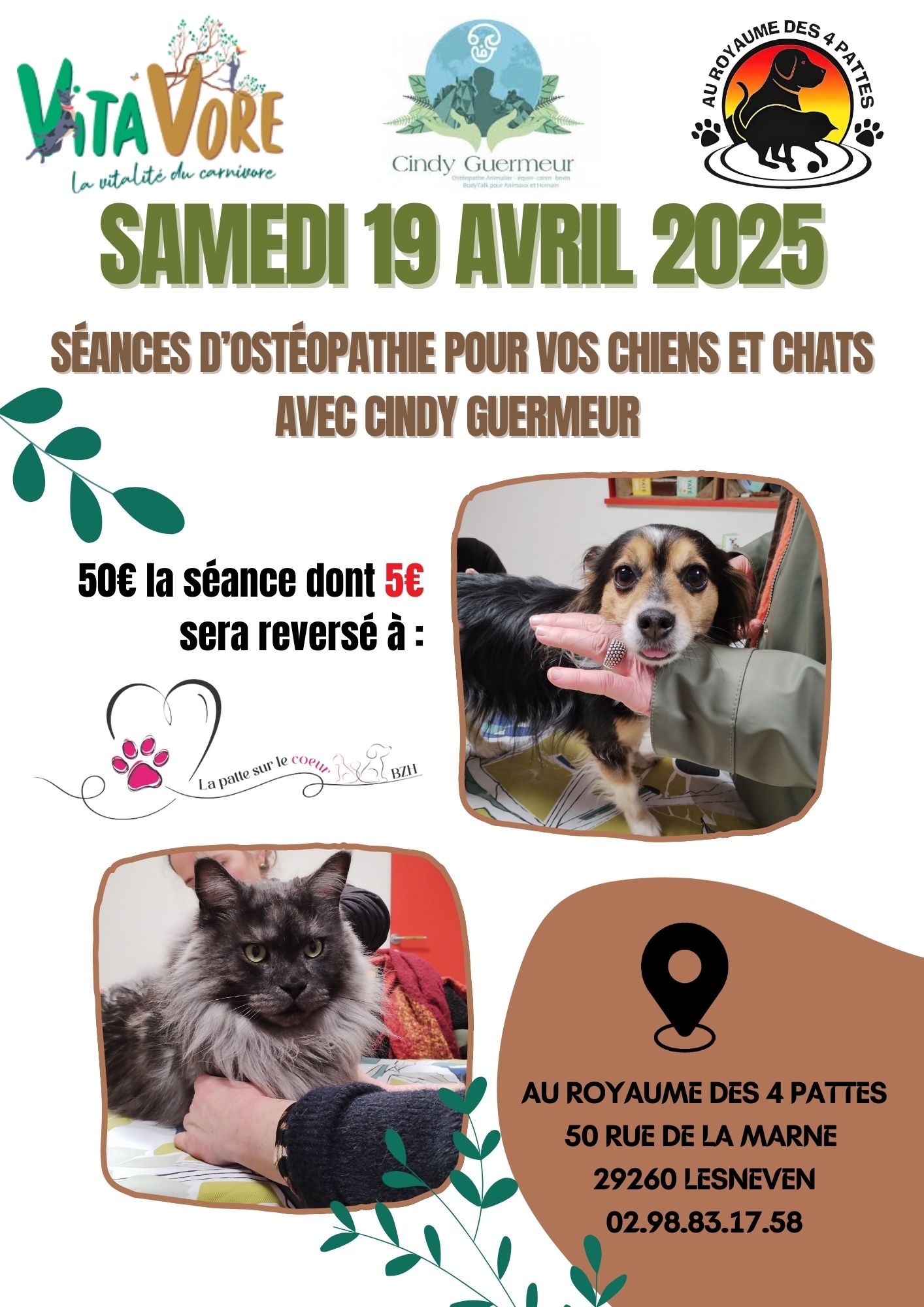 0stéopathie animal
