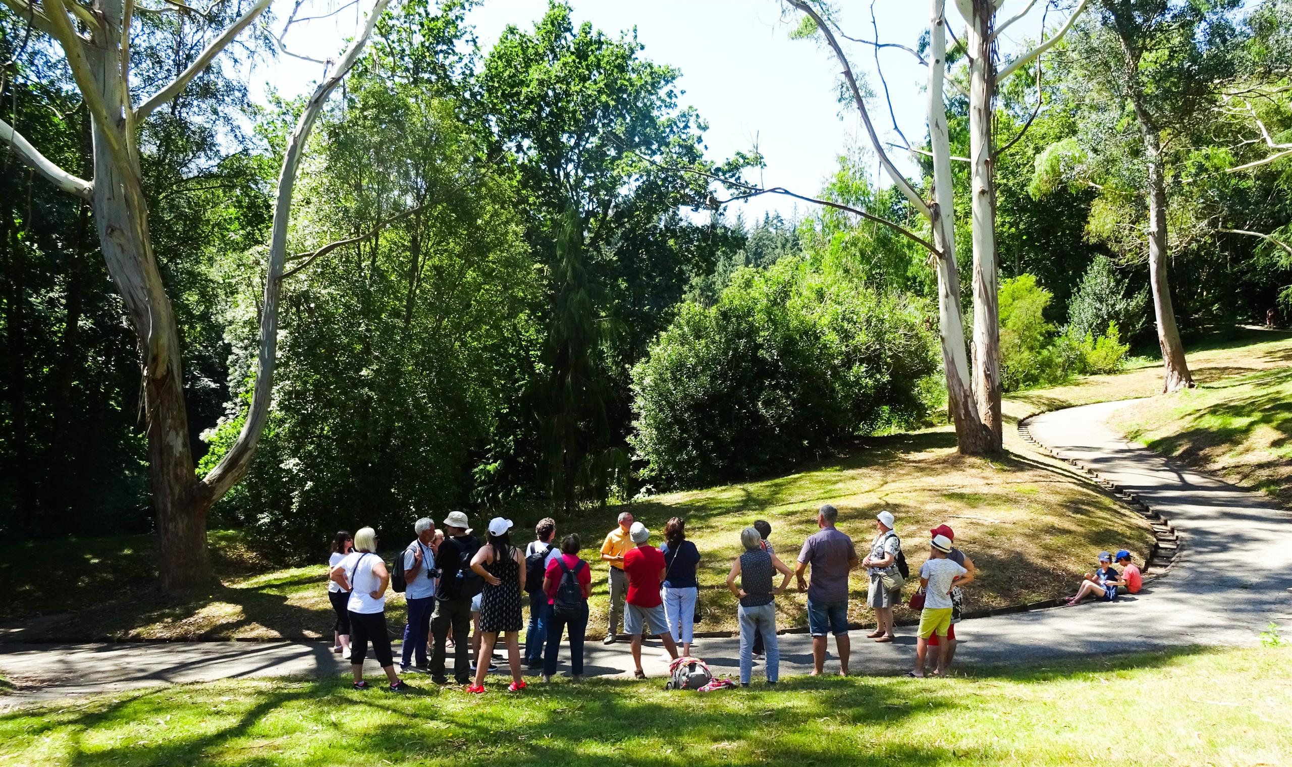 JARDIN-DU-CONSERVATOIRE-BOTANIQUE-6-Allee-aux-eucalyptus---Camille-Oriard--CBN-de-Brest-