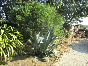 Jardin M. Cardona - Landunvez