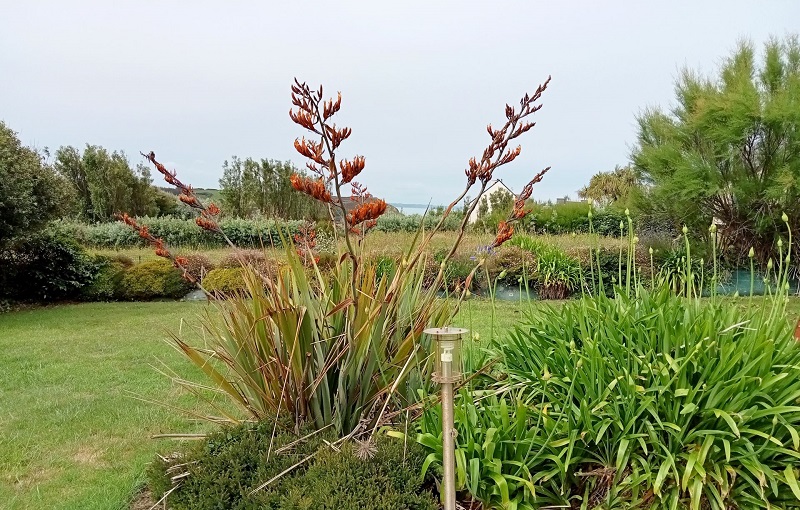 Jardin-redi