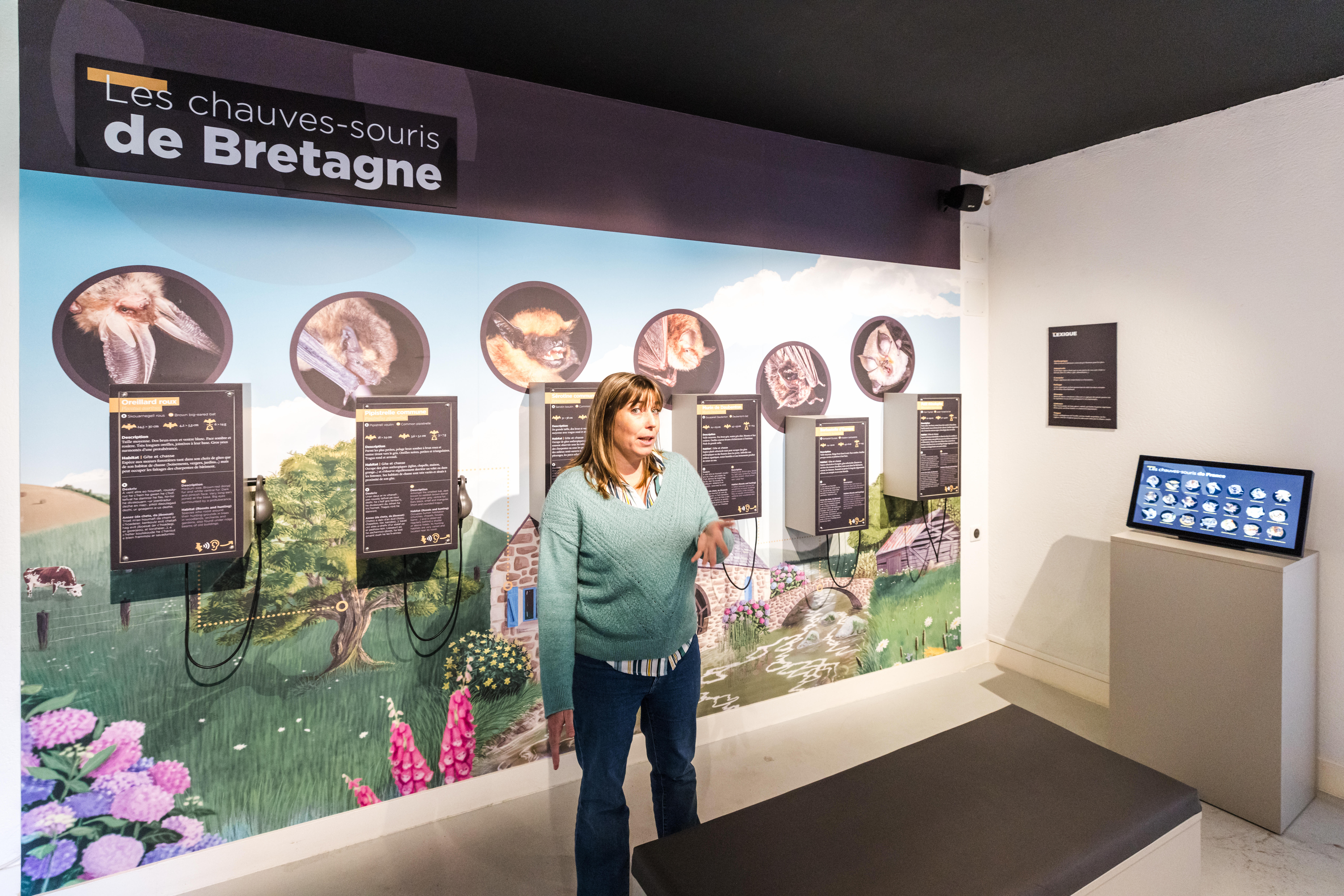 L'Oeil de Paco - Mylène Huguet - Maison de la chuve-souris (18)