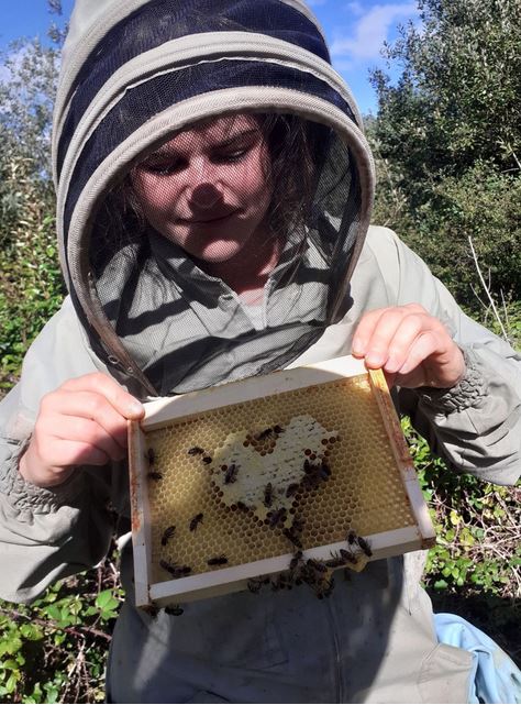 L'abeille de la mer d'Iroise - Porspoder - Apicultrice (4)