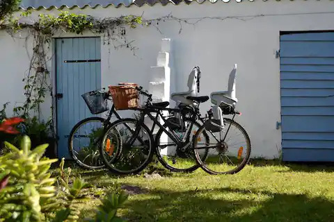 LE-CLOS-DES-BAMBOUS-les-vélos-à-disposition