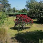 LOC - KAP BRETON - Belle île -jardin2