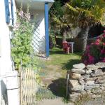 LOC-Clohars-Briand - jardin 2
