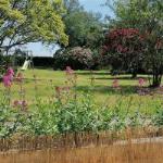 LOC-Clohars-KAP BRETON - Belle île jardin 1