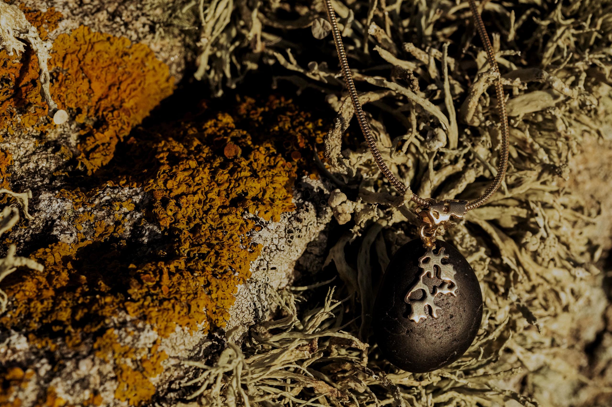 La Lanterne d'argent