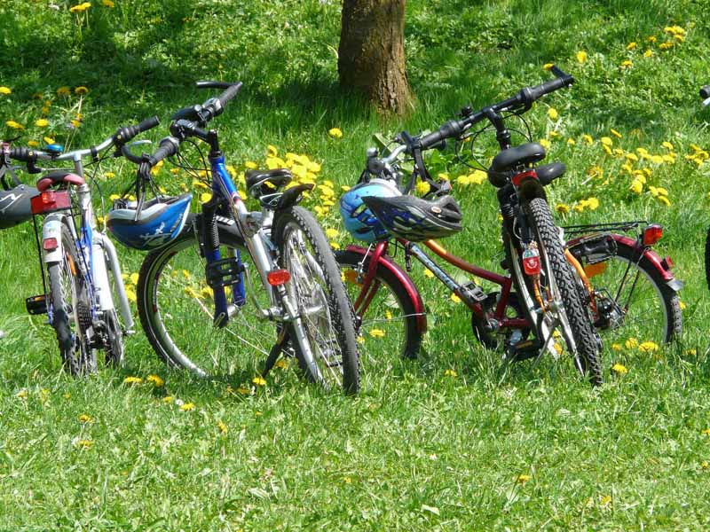 La Mob est dans le Pré 2023 (2)