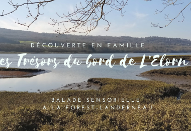 Marchons, Respirons Découverte en famille: les trésors du bord de l'Elorn