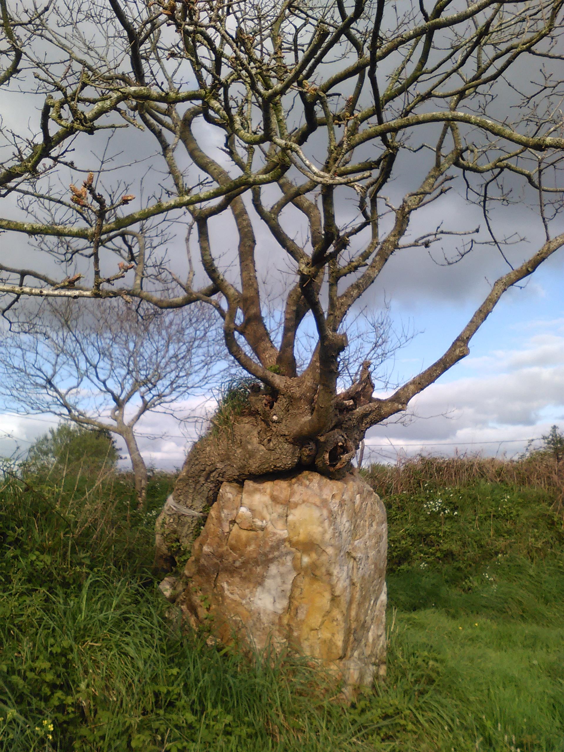 Menhir de Kereven