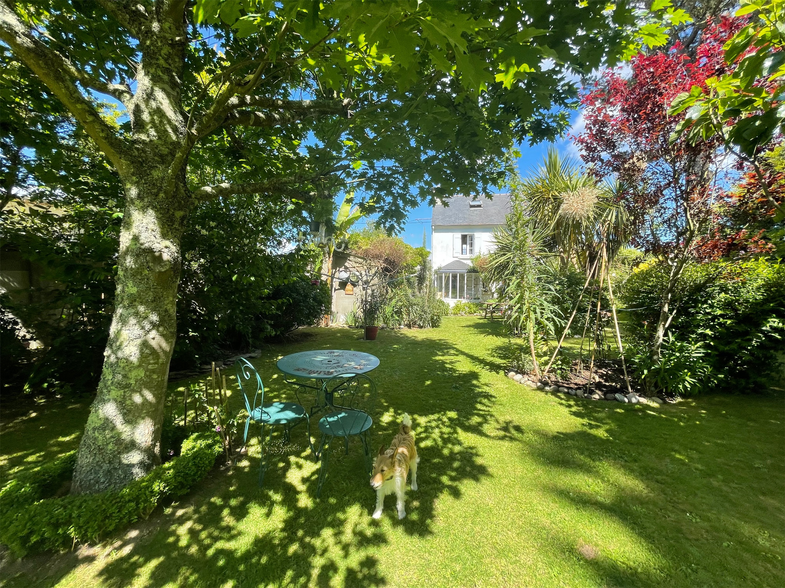 Jardin arboré sans vis à vis .