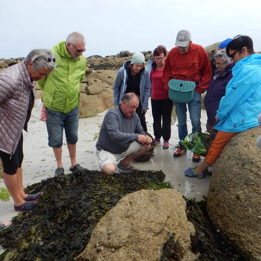 Musée du coquillage - Brigoudou_Brignogan (8)