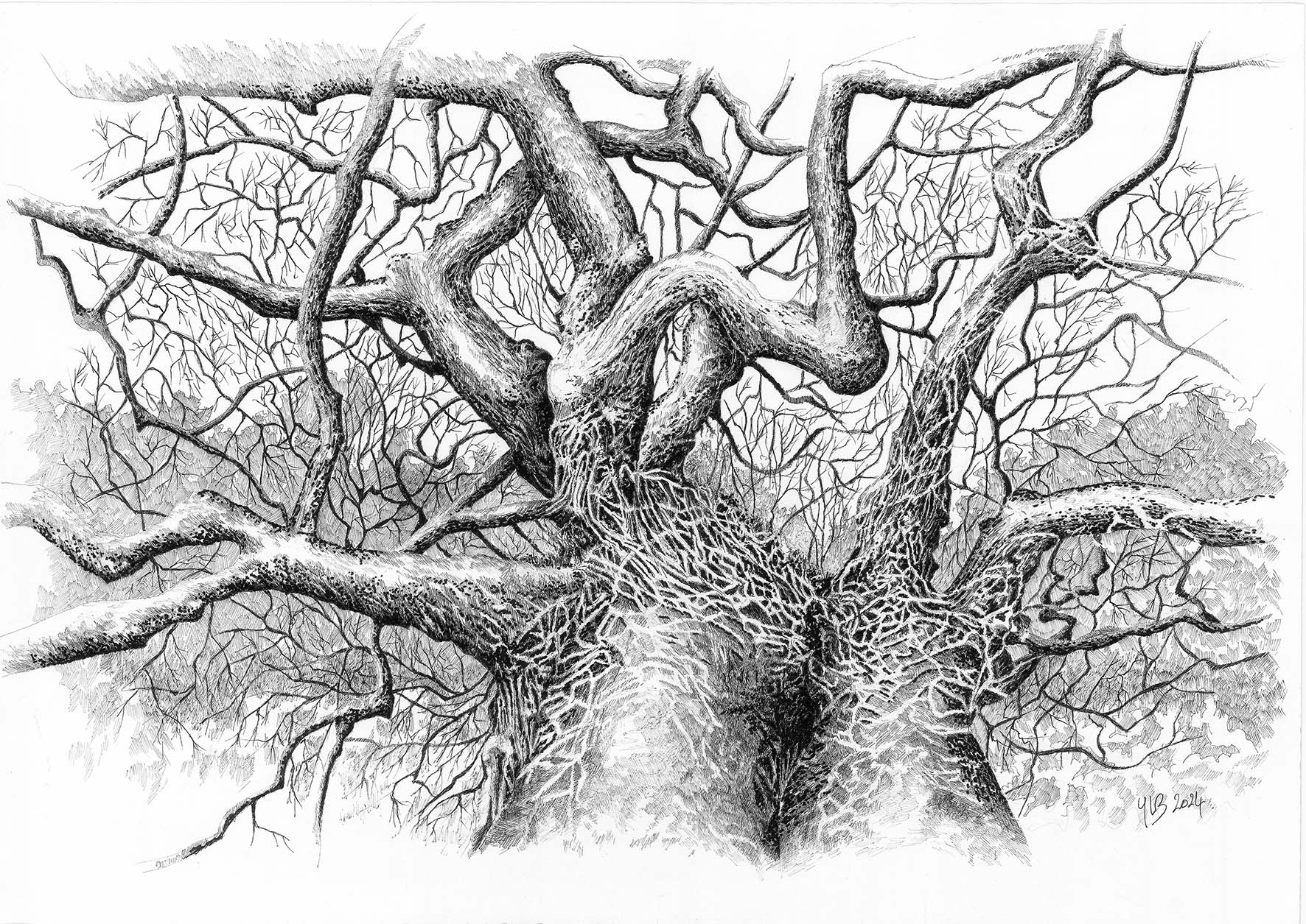  Exposition d'Yvon Le Bras : "De Pierres et d’Écorces"