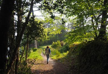 Marchons, Respirons